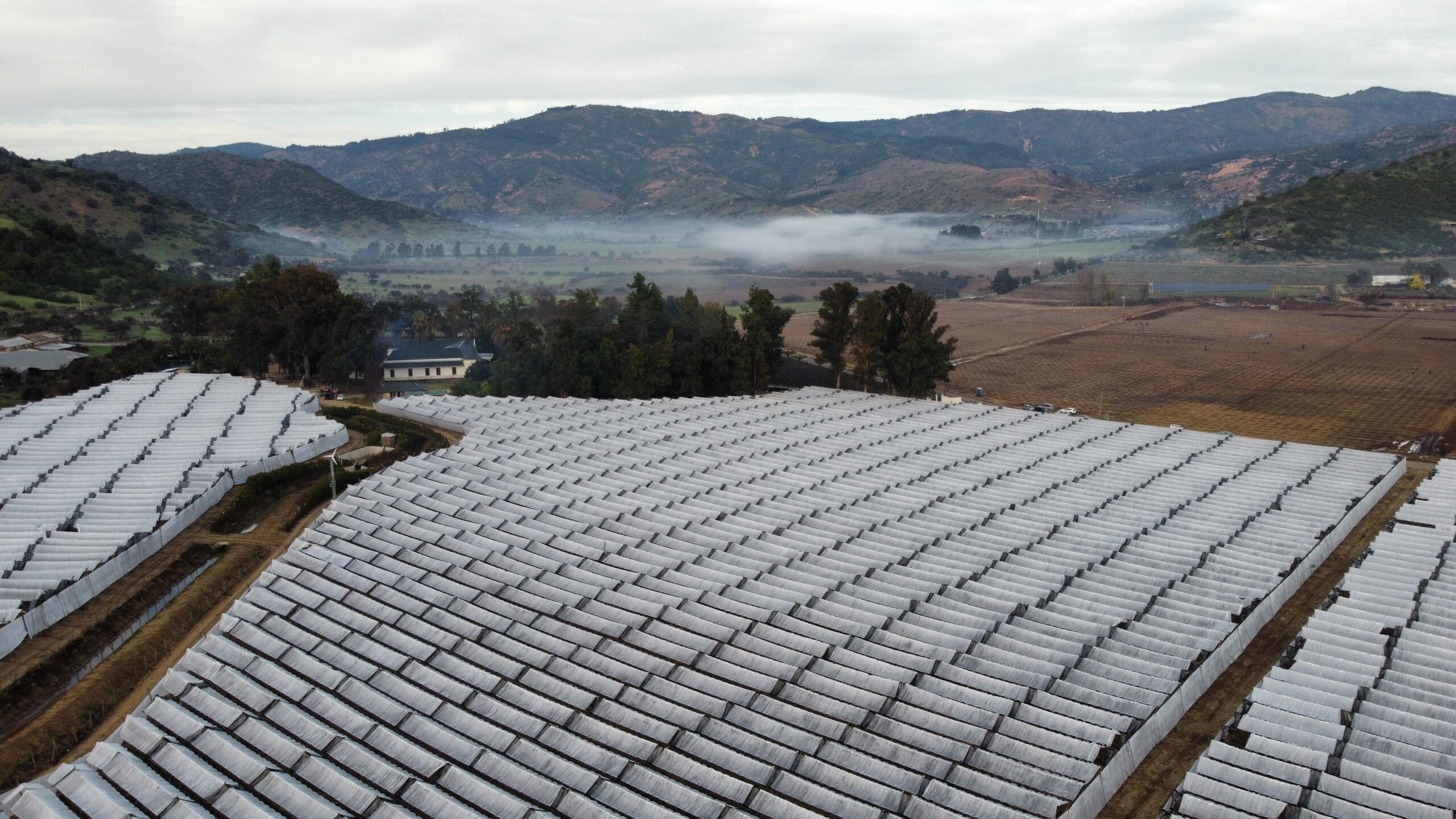 Agralia|Agralia Agrisafe|IMG_20241009_180223|Miguel Szpiniak Agralia